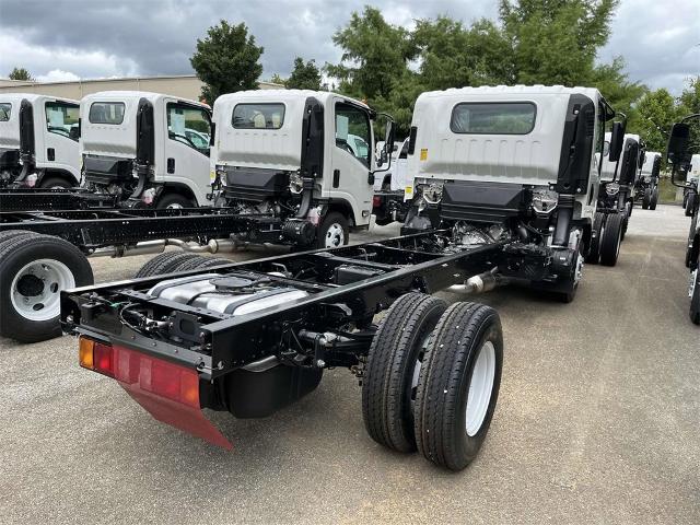 2025 Chevrolet Low Cab Forward 3500 Vehicle Photo in ALCOA, TN 37701-3235