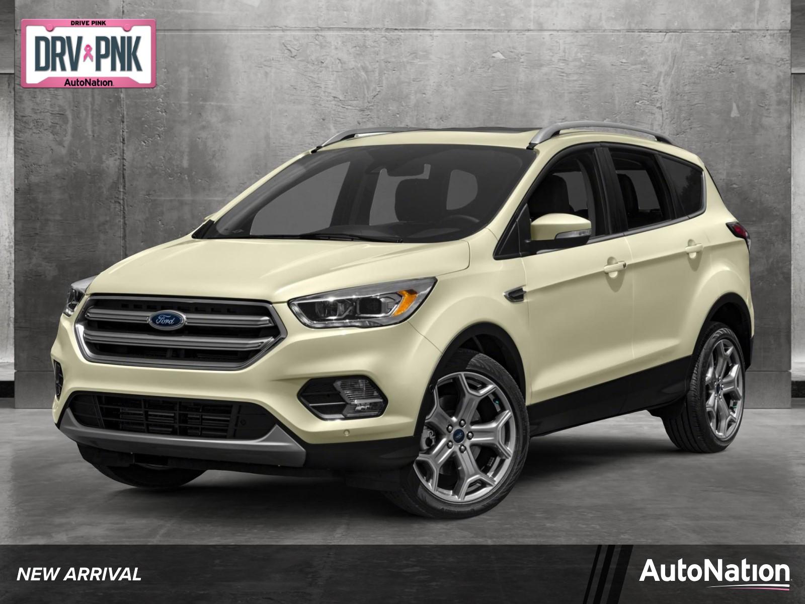 2017 Ford Escape Vehicle Photo in St. Petersburg, FL 33713