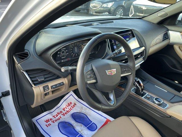 2023 Cadillac CT5 Vehicle Photo in WILLIAMSVILLE, NY 14221-4303