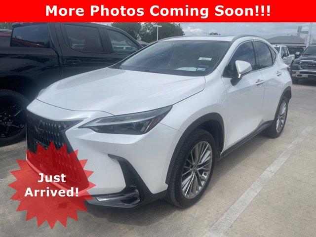 2023 Lexus NX Vehicle Photo in SELMA, TX 78154-1460