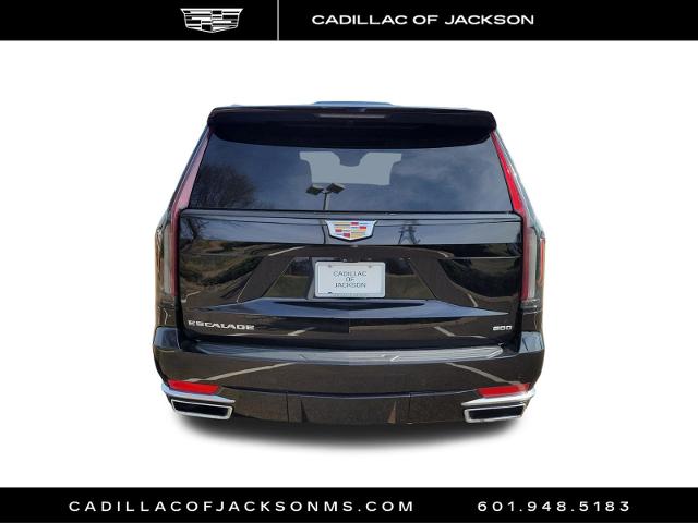 2023 Cadillac Escalade Vehicle Photo in RIDGELAND, MS 39157-4406