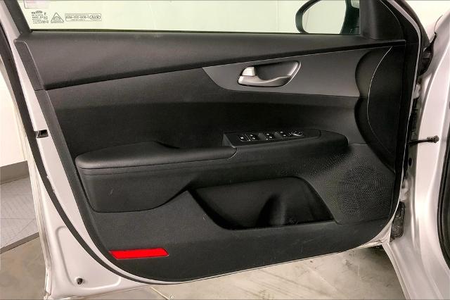 2019 Kia Forte Vehicle Photo in Lees Summit, MO 64086