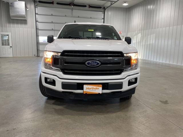 2020 Ford F-150 Vehicle Photo in GLENWOOD, MN 56334-1123