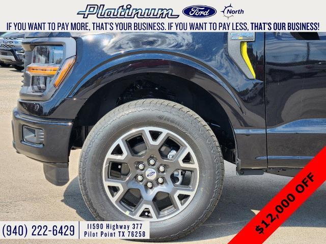 2024 Ford F-150 Vehicle Photo in Pilot Point, TX 76258