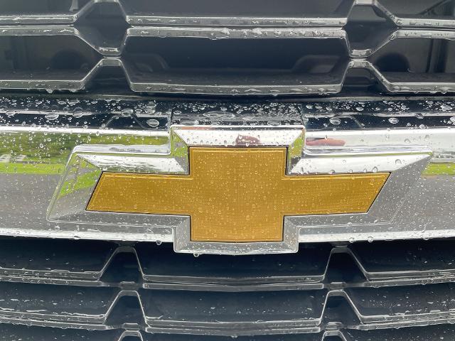 2017 Chevrolet Silverado 1500 Vehicle Photo in THOMPSONTOWN, PA 17094-9014