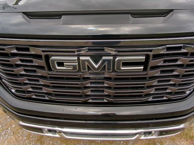 2025 GMC Sierra 1500 Vehicle Photo in ALBERTVILLE, AL 35950-0246