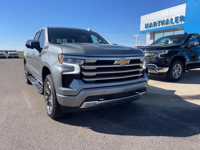 2025 Chevrolet Silverado 1500 Vehicle Photo in GLENWOOD, MN 56334-1123