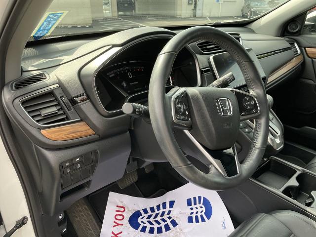 2022 Honda CR-V Vehicle Photo in WILLIAMSVILLE, NY 14221-4303