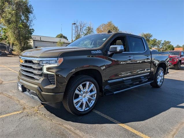 2023 Chevrolet Silverado 1500 Vehicle Photo in AURORA, CO 80012-4011