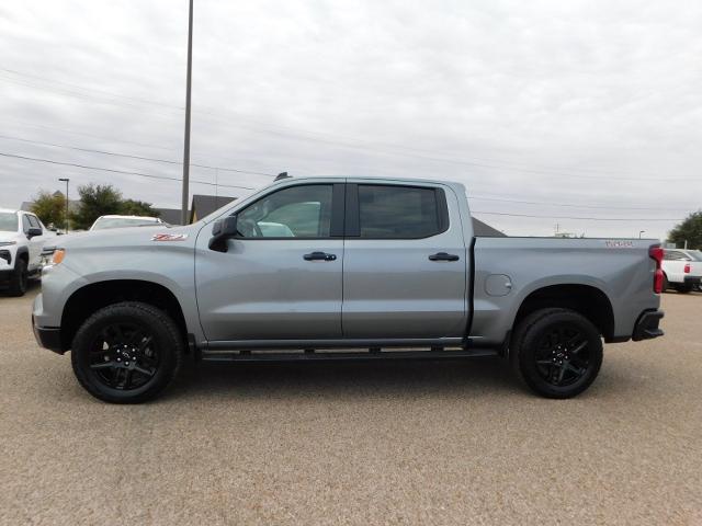 2025 Chevrolet Silverado 1500 Vehicle Photo in Weatherford, TX 76087