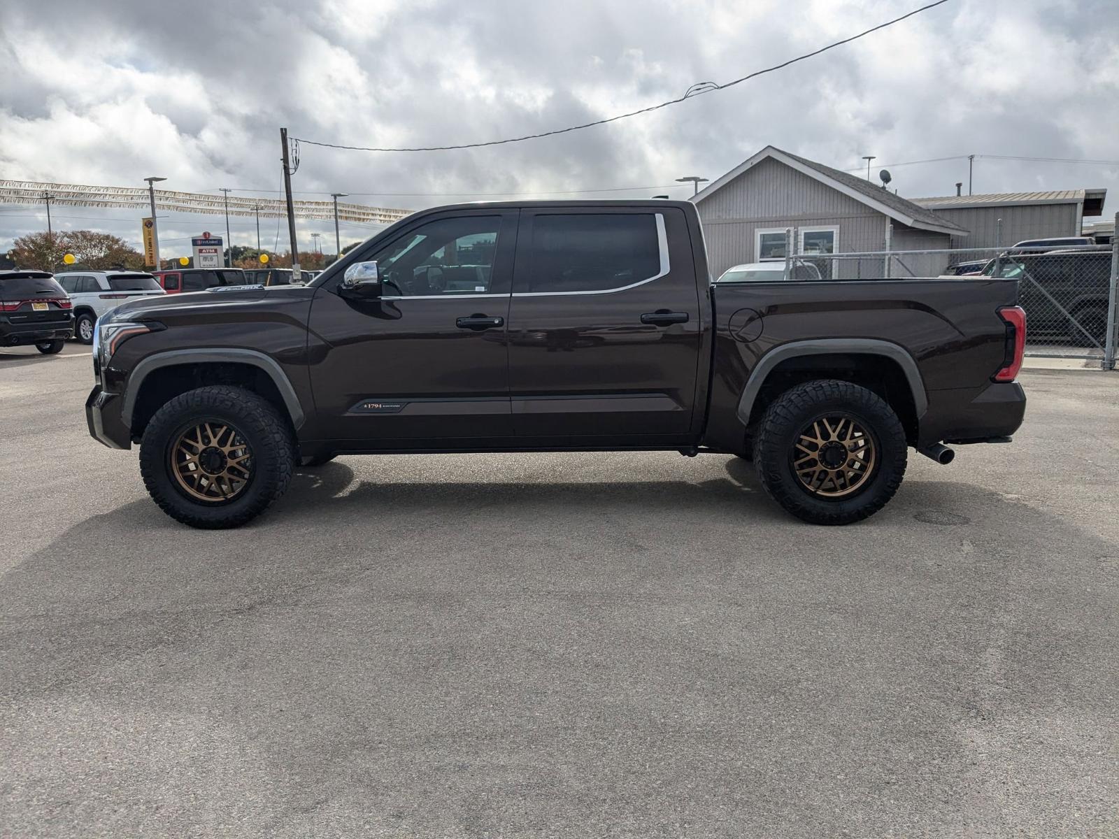 2022 Toyota Tundra 4WD Vehicle Photo in Seguin, TX 78155