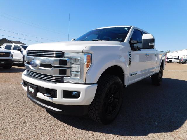 2018 Ford Super Duty F-250 SRW Vehicle Photo in GATESVILLE, TX 76528-2745