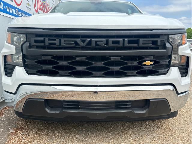 2023 Chevrolet Silverado 1500 Vehicle Photo in DUNN, NC 28334-8900