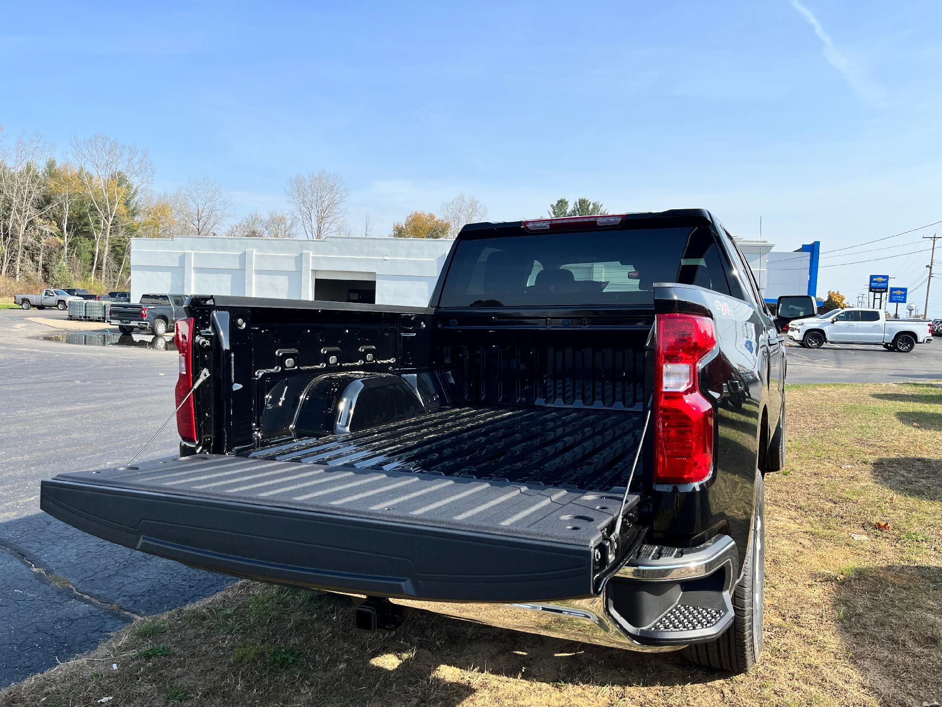 2025 Chevrolet Silverado 1500 Vehicle Photo in CLARE, MI 48617-9414