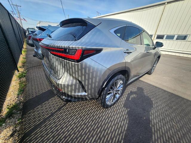 2022 Lexus NX Vehicle Photo in MADISON, WI 53713-3220