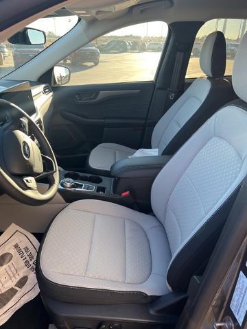 2024 Ford Escape Vehicle Photo in Winslow, AZ 86047-2439