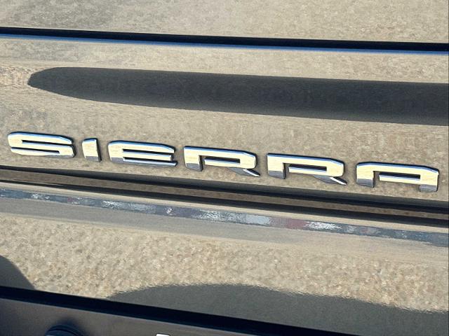 2019 GMC Sierra 1500 Vehicle Photo in DUNN, NC 28334-8900