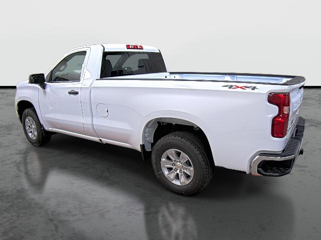 2025 Chevrolet Silverado 1500 Vehicle Photo in HANNIBAL, MO 63401-5401