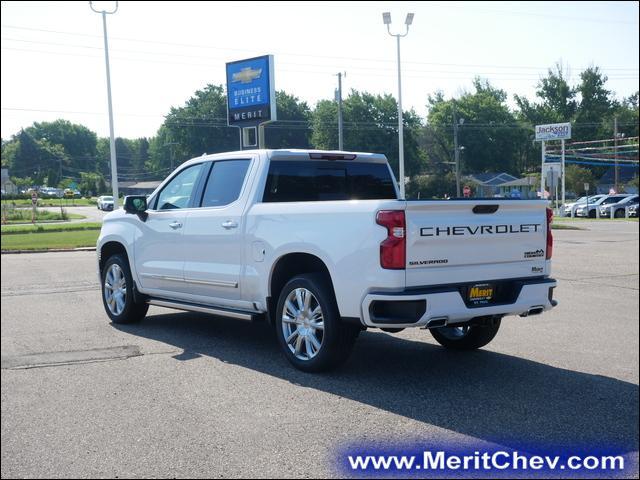 2024 Chevrolet Silverado 1500 Vehicle Photo in MAPLEWOOD, MN 55119-4794