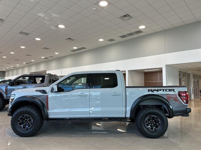 2024 Ford F-150 Vehicle Photo in Terrell, TX 75160