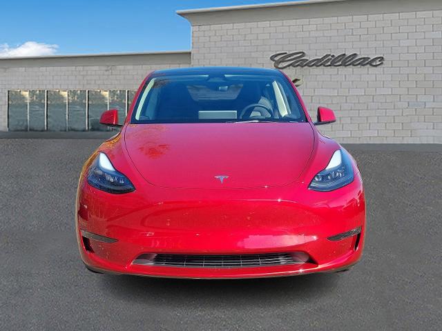 2024 Tesla Model Y Vehicle Photo in TREVOSE, PA 19053-4984