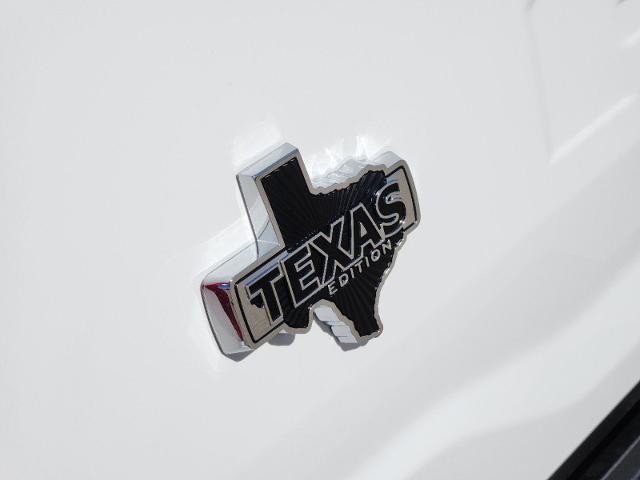 2024 Ford F-150 Vehicle Photo in Pilot Point, TX 76258