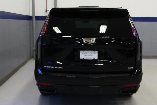 2023 Cadillac Escalade Vehicle Photo in White Plains, NY 10601