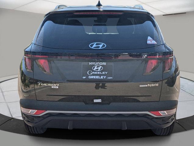 2024 Hyundai TUCSON Hybrid Vehicle Photo in Greeley, CO 80634