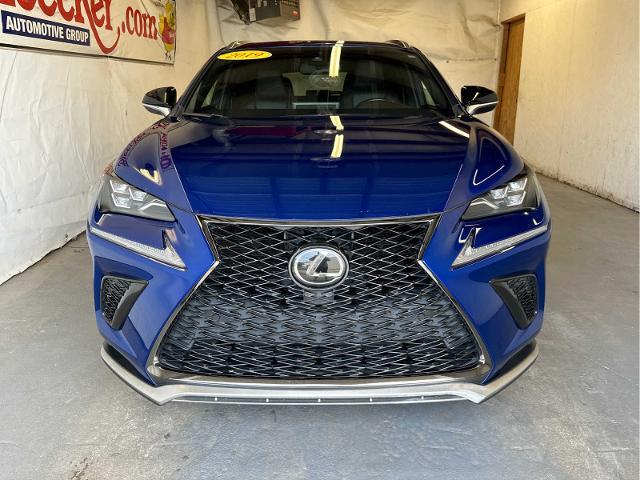 2019 Lexus NX Vehicle Photo in RED SPRINGS, NC 28377-1640