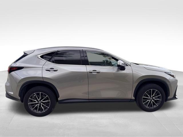 2024 Lexus NX Vehicle Photo in DELRAY BEACH, FL 33483-3294