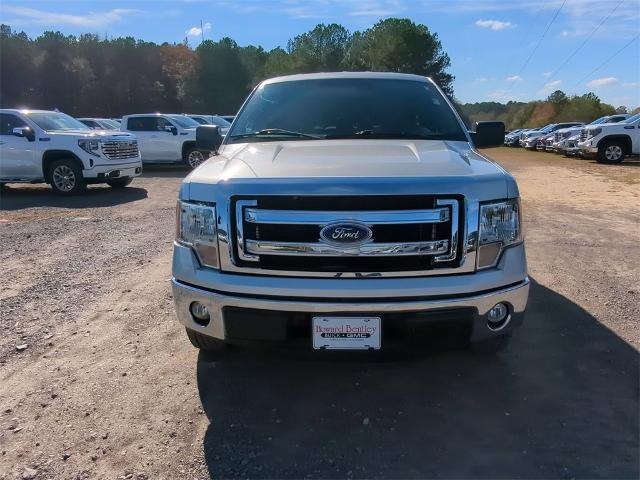 2013 Ford F-150 Vehicle Photo in ALBERTVILLE, AL 35950-0246