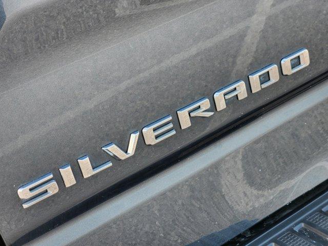 2020 Chevrolet Silverado 1500 Vehicle Photo in HOUSTON, TX 77054-4802