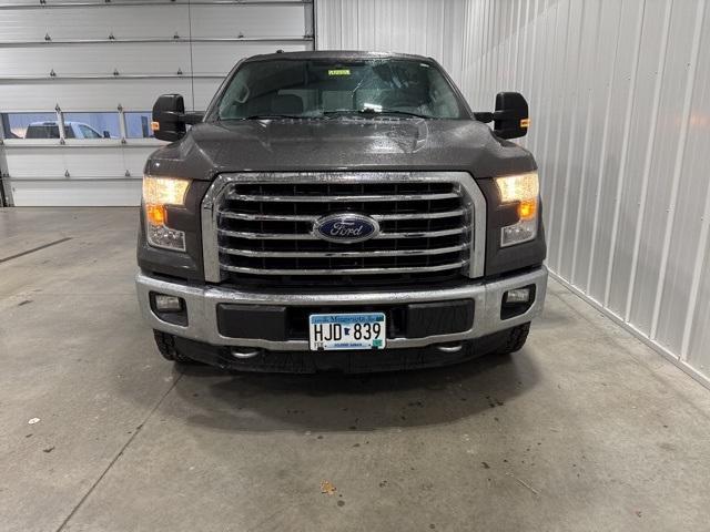 2015 Ford F-150 Vehicle Photo in GLENWOOD, MN 56334-1123