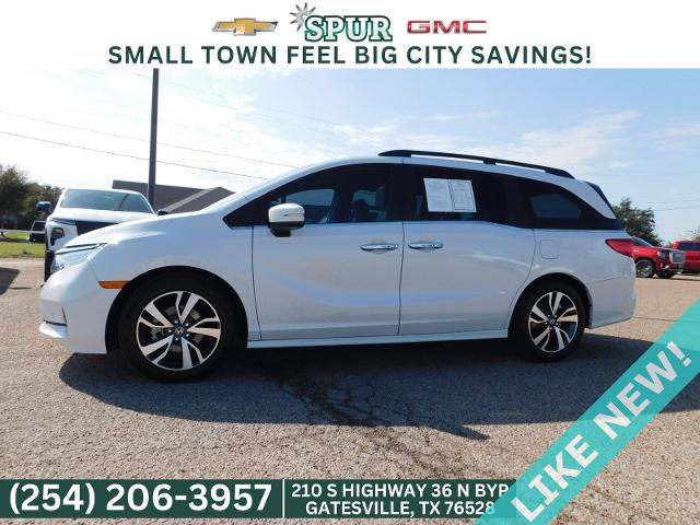 2021 Honda Odyssey Vehicle Photo in GATESVILLE, TX 76528-2745