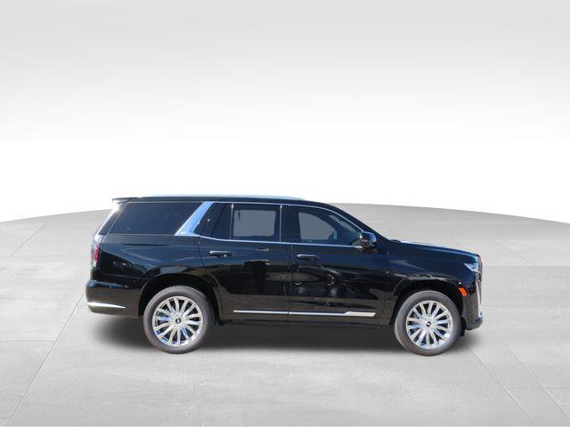 2024 Cadillac Escalade Vehicle Photo in DELRAY BEACH, FL 33483-3294