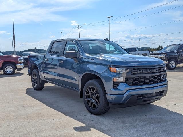 2024 Chevrolet Silverado 1500 Vehicle Photo in POMEROY, OH 45769-1023