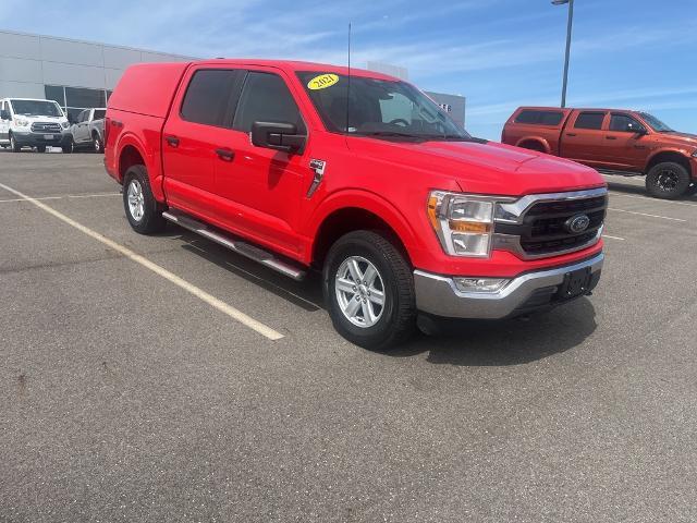 2021 Ford F-150 Vehicle Photo in Jackson, OH 45640-9766