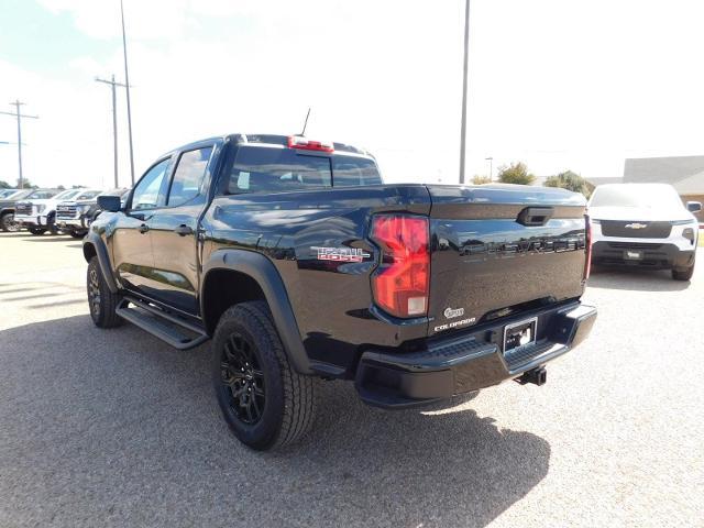 2024 Chevrolet Colorado Vehicle Photo in Weatherford, TX 76087