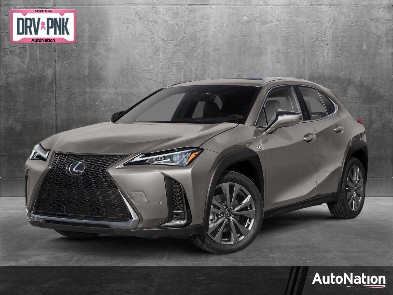 2019 Lexus UX 200 Vehicle Photo in Clearwater, FL 33761