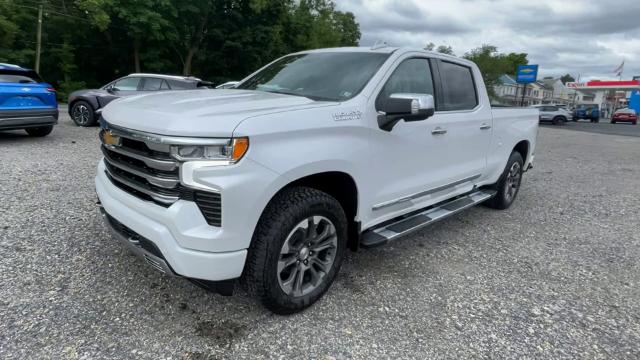 2024 Chevrolet Silverado 1500 Vehicle Photo in THOMPSONTOWN, PA 17094-9014