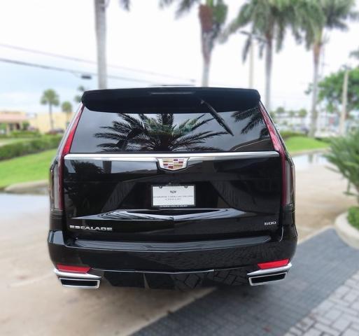 2023 Cadillac Escalade Vehicle Photo in DELRAY BEACH, FL 33483-3294