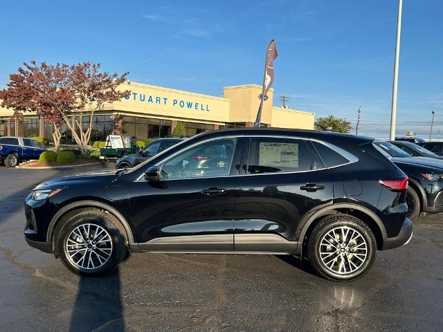 2025 Ford Escape Vehicle Photo in Danville, KY 40422-2805