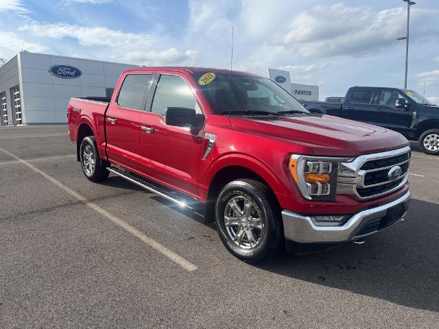 2021 Ford F-150 Vehicle Photo in Jackson, OH 45640-9766