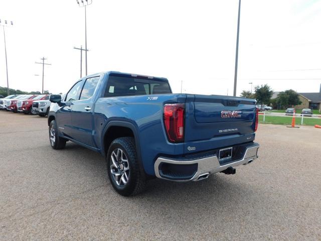 2024 GMC Sierra 1500 Vehicle Photo in Weatherford, TX 76087