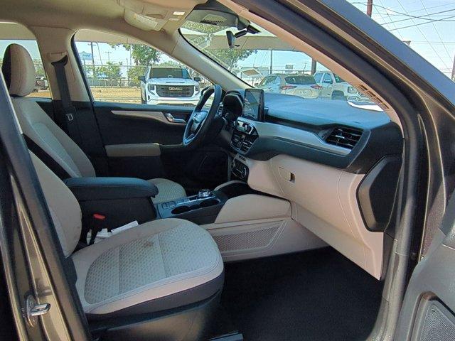 2020 Ford Escape Vehicle Photo in SELMA, TX 78154-1460