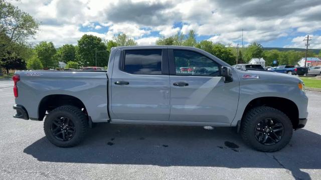 2024 Chevrolet Silverado 1500 Vehicle Photo in THOMPSONTOWN, PA 17094-9014