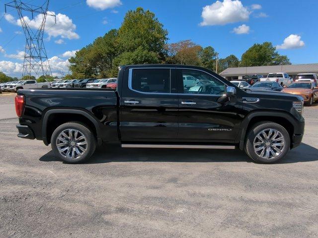 2024 GMC Sierra 1500 Vehicle Photo in ALBERTVILLE, AL 35950-0246