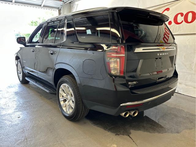 2023 Chevrolet Tahoe Vehicle Photo in RED SPRINGS, NC 28377-1640