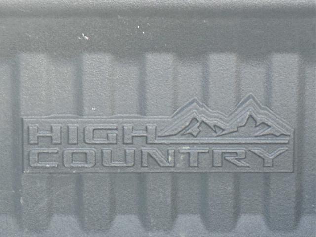 2021 Chevrolet Silverado 1500 Vehicle Photo in DUNN, NC 28334-8900