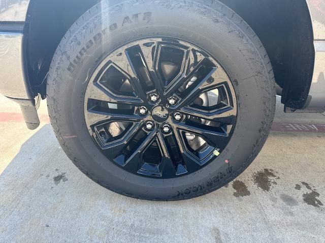 2024 Ford F-150 Vehicle Photo in Terrell, TX 75160